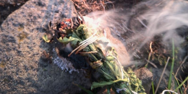 räuchern-wildkräuter-nordhessen-räucherzeremonie