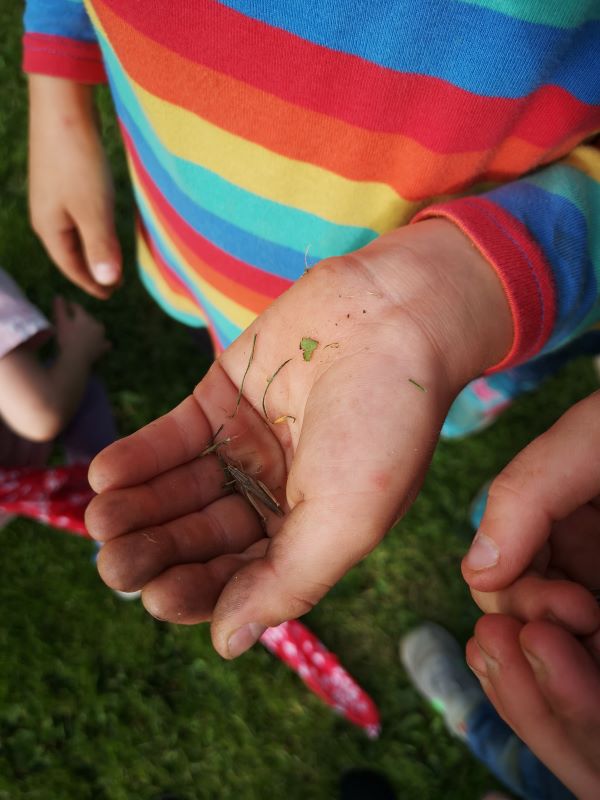 kindergeburtstag-draußen-natur-kassel